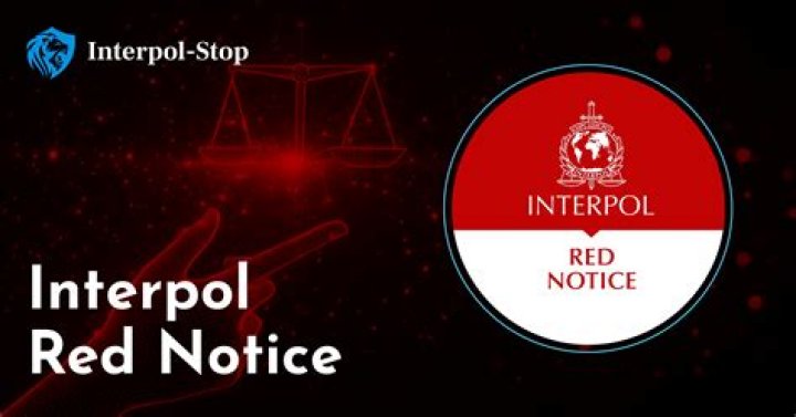 An Interpol red notice has also been for Ayik's arrest, who remains on the run from authorities. Pictured: ammunition seized by authorities