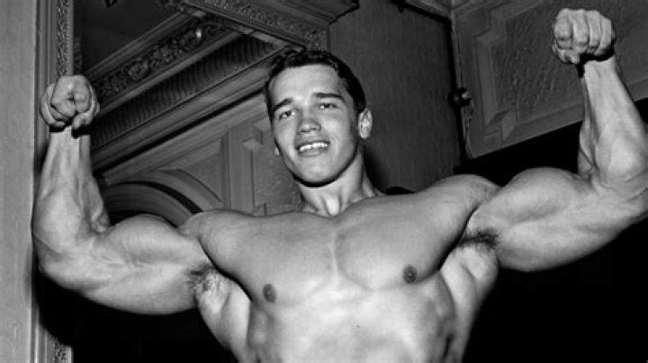 Arnold Schwarzenegger pictured at the "Terminator: Dark Fate" photocall in 2019, London, England. | Photo: Getty Images
