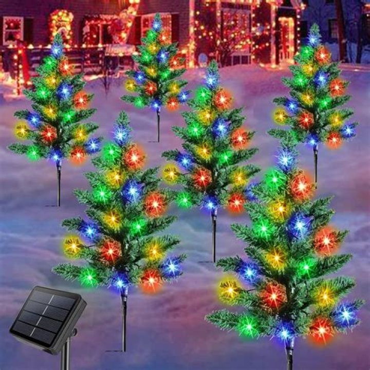 Christmas tree with lights | Photo: Shutterstock