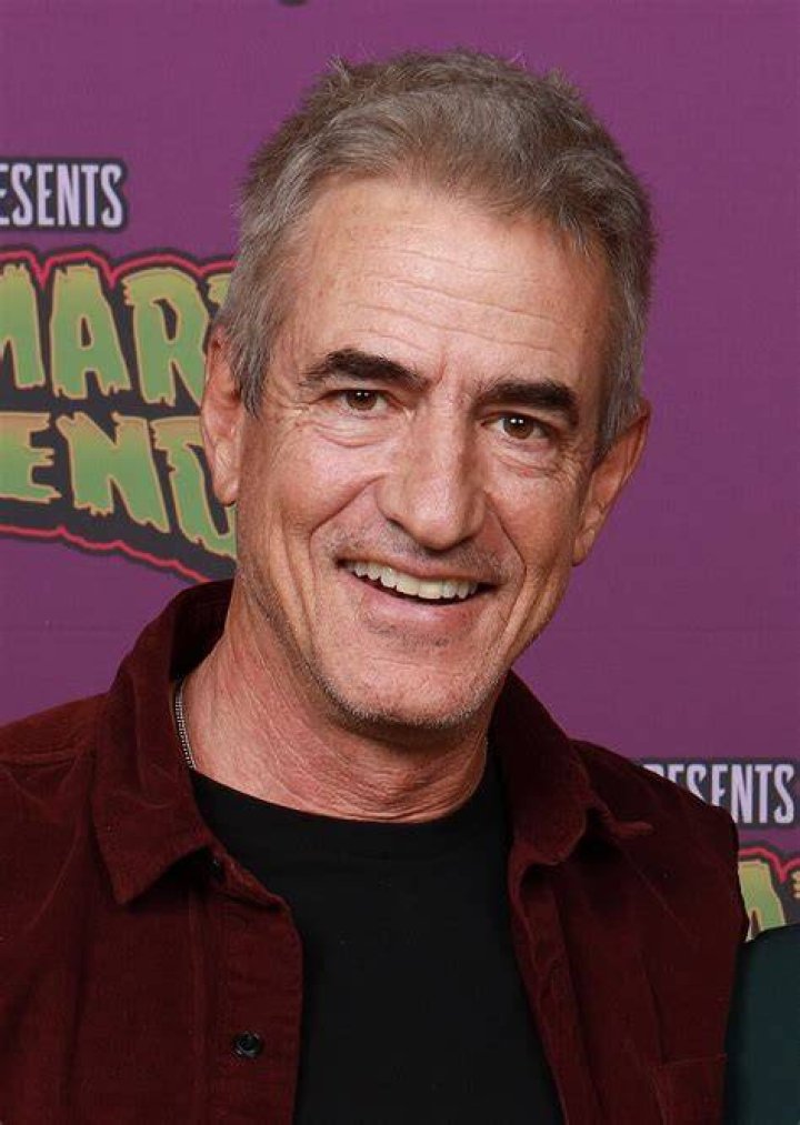 Dermot Mulroney on October 24, 2018 in Los Angeles, California | Photo: Getty Images