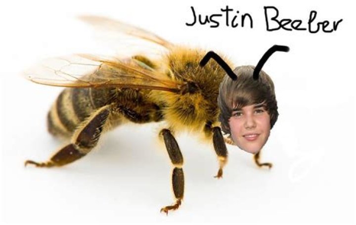 Justin BEEber by Hardcoreshit on DeviantArt