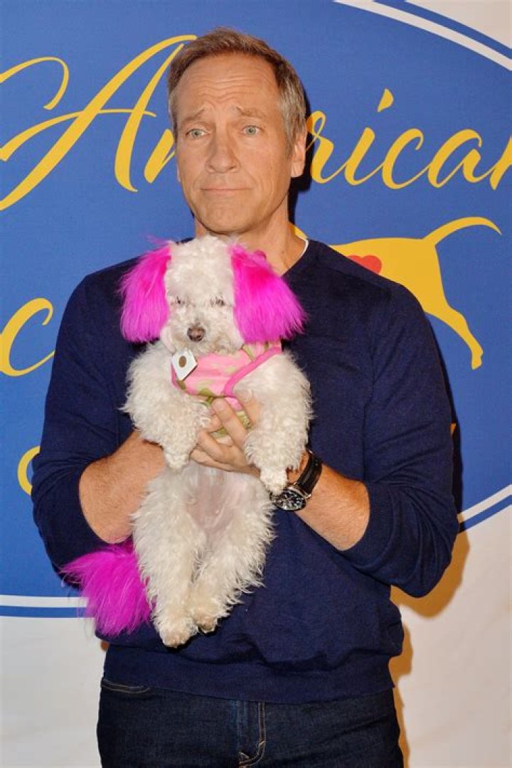 Mike Rowe attends the Hallmark Channel's 2019 American Rescue Dog Show at Pomona Fairplex in Pomona, California on January 13, 2019 | Source: Getty Images
