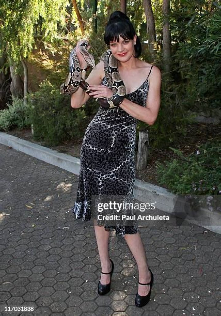Pauley Perrette attend the Los Angeles LGBT Center's An Evening With Women on May 21, 2016, in Los Angeles, California. | Source: Getty Images.