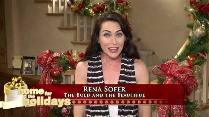 Rena Sofer in The Bold and the Beautiful