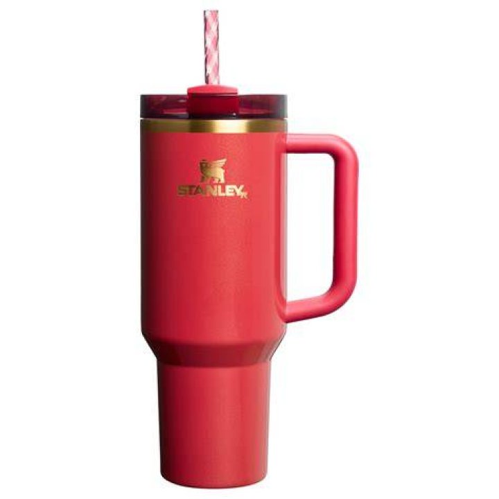 Stanley Quencher cup
