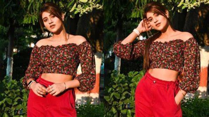 TikTok Anjali Arora (Lock Upp) Reels, Biography, Age, Boyfriend, Family & Revealing