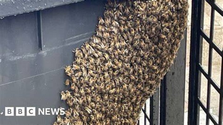 Wrexham have bee forced to call of their game with Forest Green following a night of heavy rain in the area
